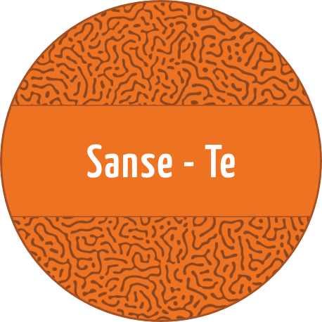 Sanse te